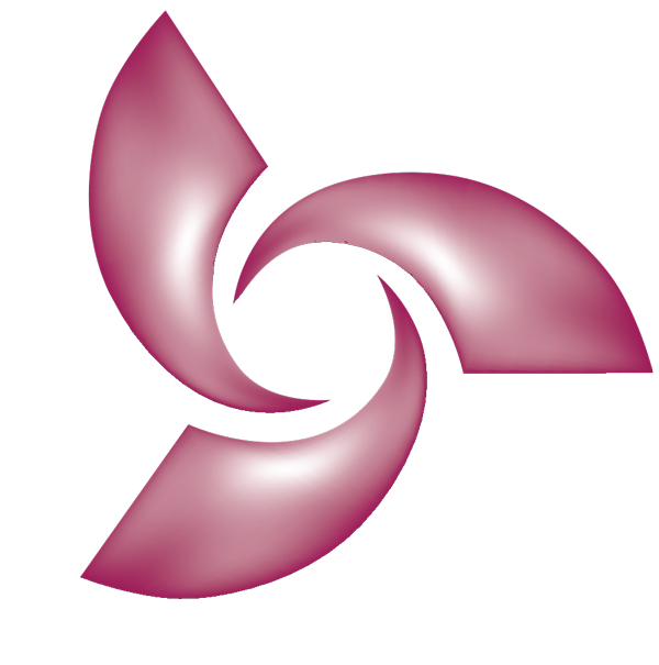 IDS Logo